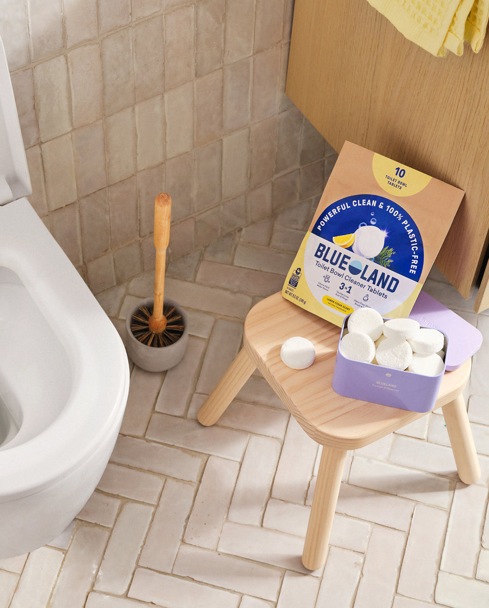 Bathroom scene with toilet, cleaning brush, and Blue Land cleaning product on a stool.