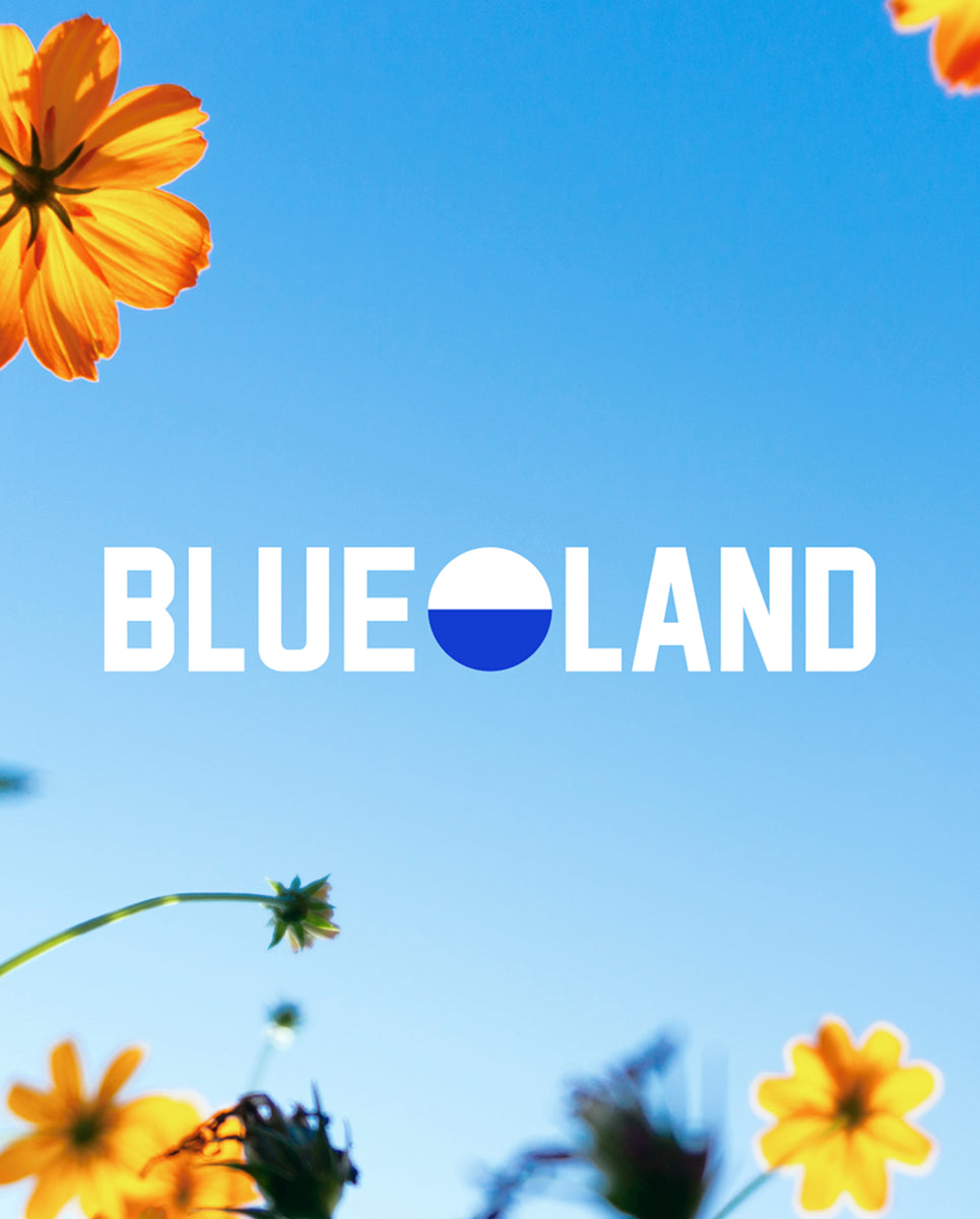 Blue Land logo with yellow flowers against a blue sky